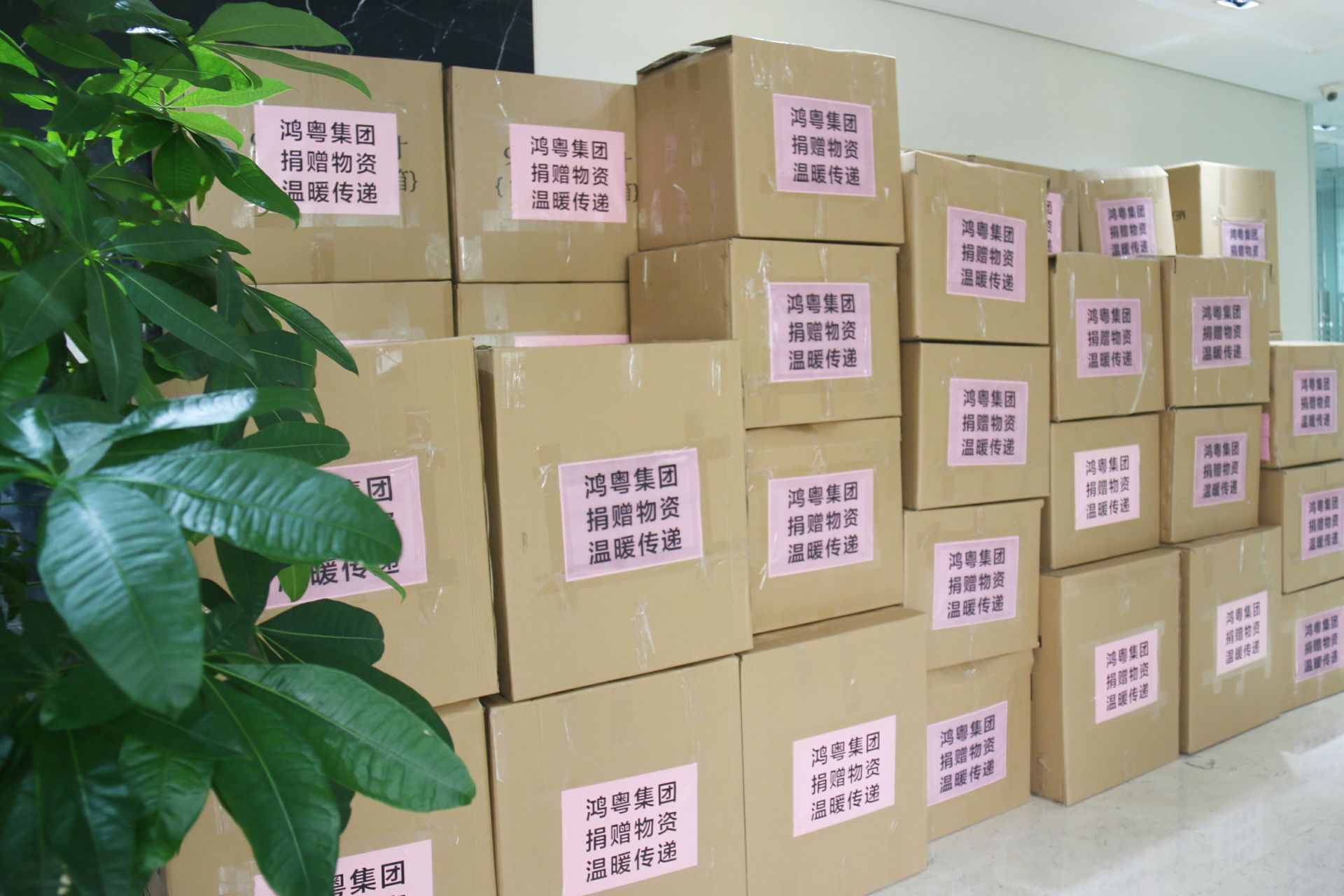 乐动平台-乐动(中国)一站式服务平台公益回顾丨家国同欢月同圆 温暖满载甘孜州(图1)